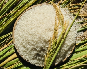 Gạo Đài Loan dẻo thơm nhiều