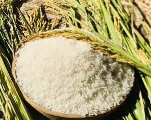 Gạo Ha Na  dẻo nhiều thơm nhẹ 